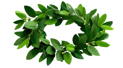 Laurel Wreath: An elegant laurel wreath, a timeless symbol of victory and honor, composed of verdant green leaves, perfectly captures the essence of achievement.