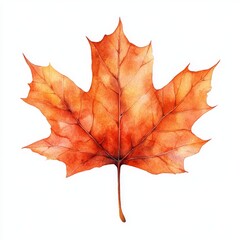 Fototapeta premium The hand-painted watercolor illustration of autumn maple leaves, featuring beautiful yellow flora, is a stunning representation of fall foliage, perfect for seasonal decor and capturing the essence