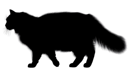 Shadow of a Feline: An elegant silhouette of a fluffy domestic cat, a study in contrast, stands out against a backdrop, showing the sleek outline of the feline in pure black.