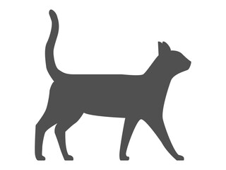 Cat Illustration