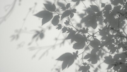 Fototapeta premium Captivating shadows of leaves dancing on a soft background nature photography minimalist aesthetic serene environment close-up viewpoint
