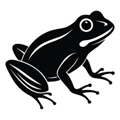 Crocodile Wild Animal Art