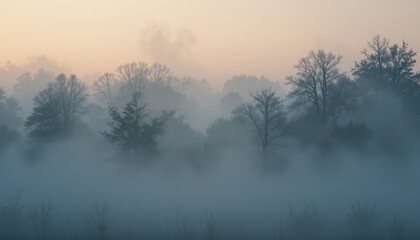 Misty morning landscape with trees and fog in nature tranquil environment serene viewpoint for peaceful atmosphere