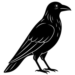 Animal Raven silhouette vector illustrator