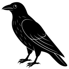 Animal Raven silhouette vector illustrator