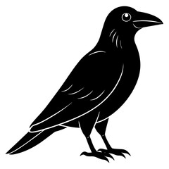 Animal Raven silhouette vector illustrator