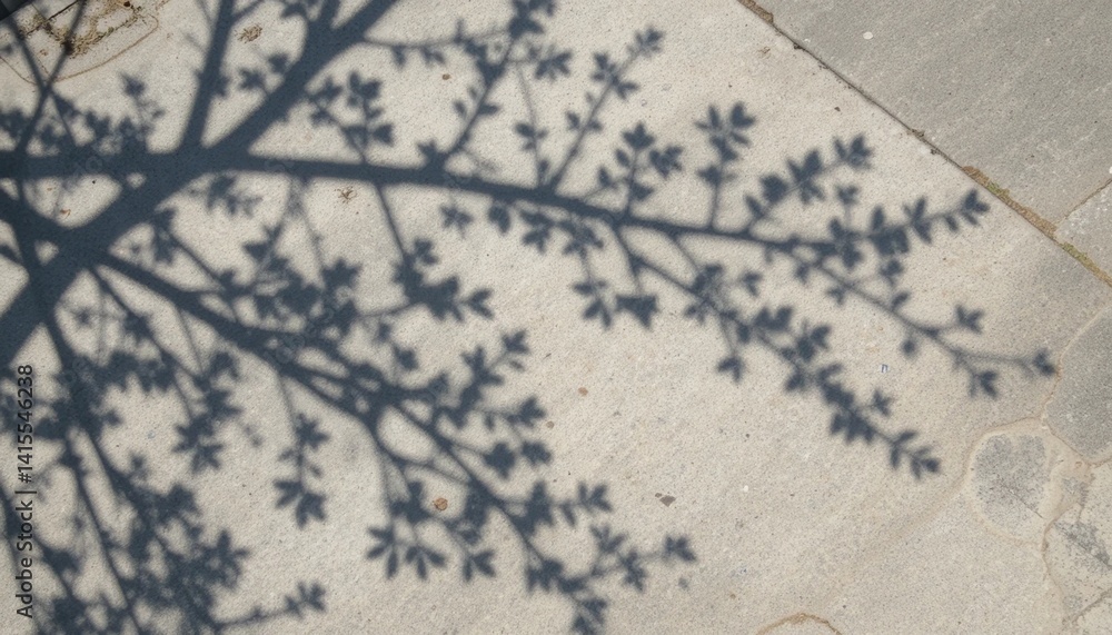 Poster captivating shadow play of a tree branch on concrete surface urban setting nature photography daytim