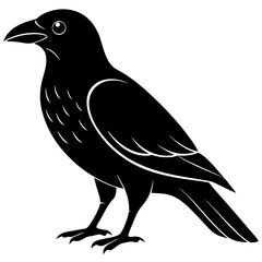 Animal Raven silhouette vector illustrator