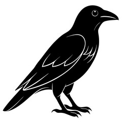Animal Raven silhouette vector illustrator