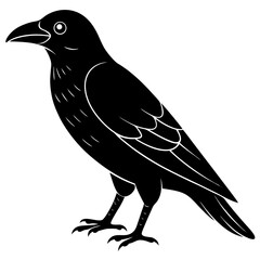 Animal Raven silhouette vector illustrator