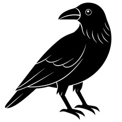 Animal Raven silhouette vector illustrator
