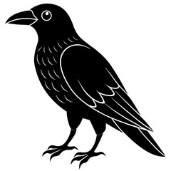Animal Raven silhouette vector illustrator