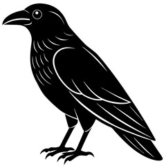 Animal Raven silhouette vector illustrator