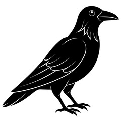 Animal Raven silhouette vector illustrator