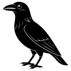 Animal Raven silhouette vector illustrator