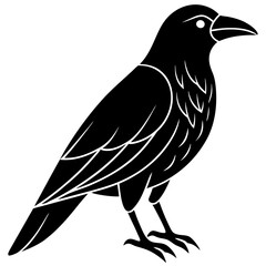 Animal Raven silhouette vector illustrator