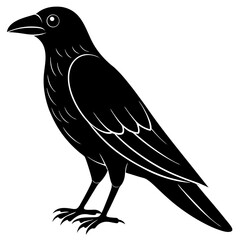Animal Raven silhouette vector illustrator