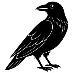 Animal Raven silhouette vector illustrator