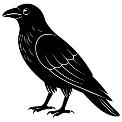 Animal Raven silhouette vector illustrator