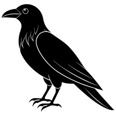 Animal Raven silhouette vector illustrator