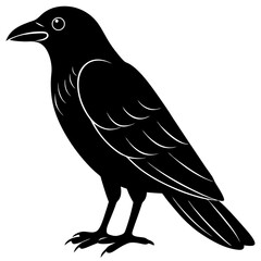 Animal Raven silhouette vector illustrator
