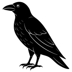 Animal Raven silhouette vector illustrator
