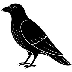 Animal Raven silhouette vector illustrator