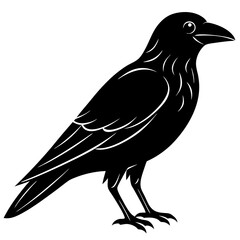 Animal Raven silhouette vector illustrator