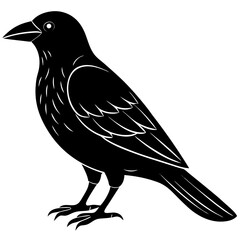 Animal Raven silhouette vector illustrator