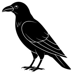 Animal Raven silhouette vector illustrator