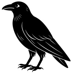 Animal Raven silhouette vector illustrator