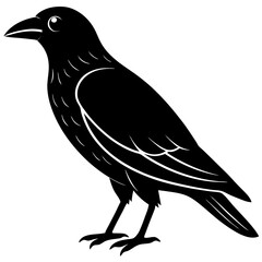 Animal Raven silhouette vector illustrator