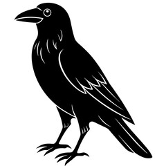 Animal Raven silhouette vector illustrator