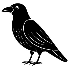 Animal Raven silhouette vector illustrator