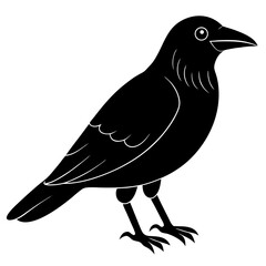 Animal Raven silhouette vector illustrator