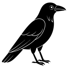 Animal Raven silhouette vector illustrator
