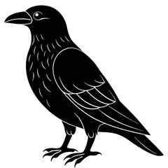 Animal Raven silhouette vector illustrator