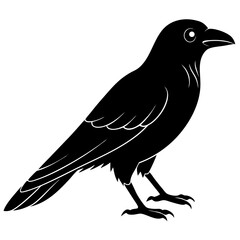 Animal Raven silhouette vector illustrator