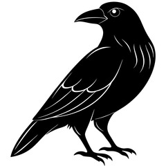 Animal Raven silhouette vector illustrator