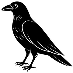Animal Raven silhouette vector illustrator