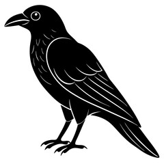 Animal Raven silhouette vector illustrator