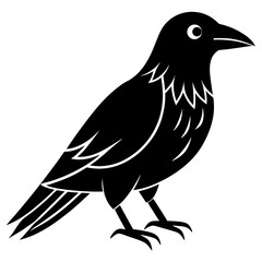 Animal Raven silhouette vector illustrator