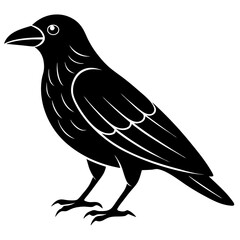 Animal Raven silhouette vector illustrator