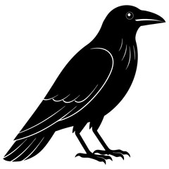 Animal Raven silhouette vector illustrator