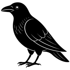 Animal Raven silhouette vector illustrator