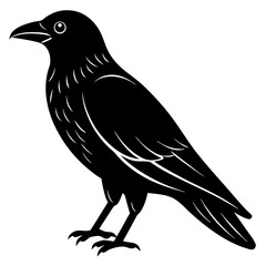 Animal Raven silhouette vector illustrator