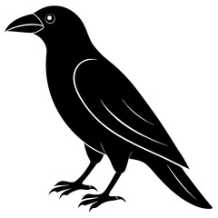 Animal Raven silhouette vector illustrator
