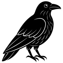 Animal Raven silhouette vector illustrator