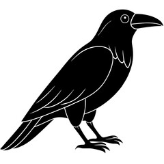 Animal Raven silhouette vector illustrator