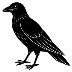 Animal Raven silhouette vector illustrator